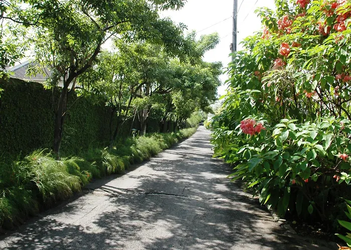 The Gardens